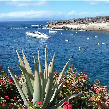 Paraiso Del Sur * アデヘ